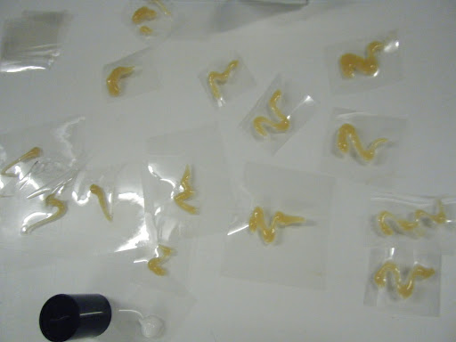Squiggles of serum!