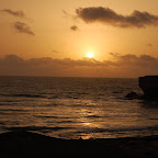 DSC_7570.JPG