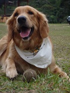 [Patas213104.jpg]