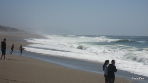 IMG_3727.jpg