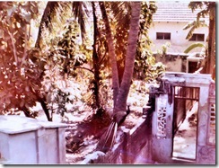 SueReno_Rameswaran 10 SueReno_Rameswaran 10
