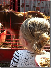 IMG_2256 IMG_2256