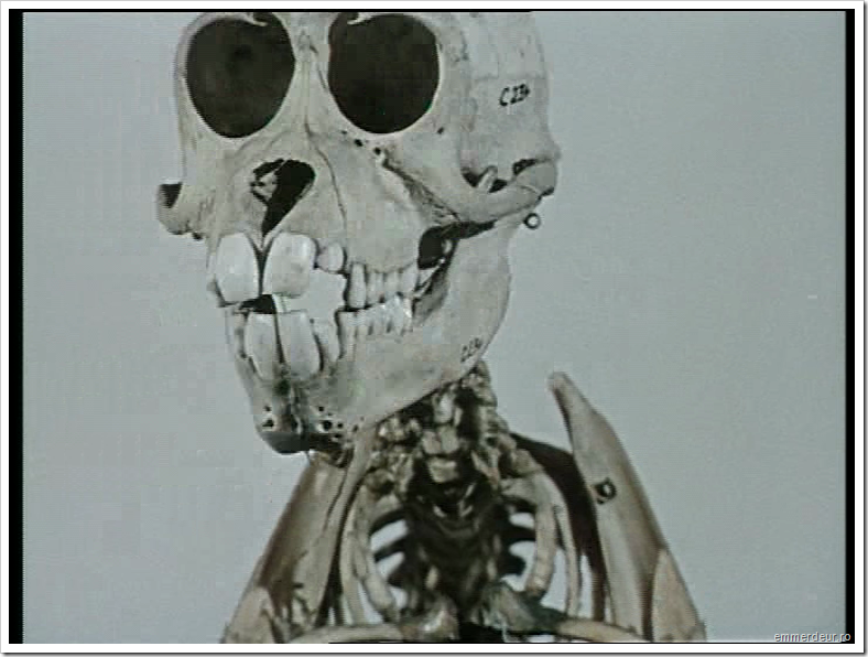 jan svankmajer historia naturae emmerdeur_542 jan svankmajer historia naturae emmerdeur_542