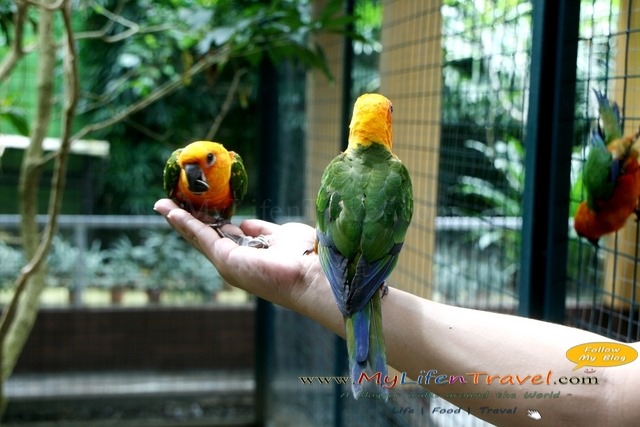 Langkawi Wildlife Park Langkawi Wildlife Park