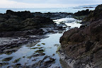 DSC06582.JPG