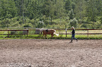 Tömkörning 15 juli 2011