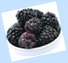 blackberries