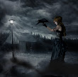 Dark Night Beauty