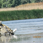 IMG_7776.JPG