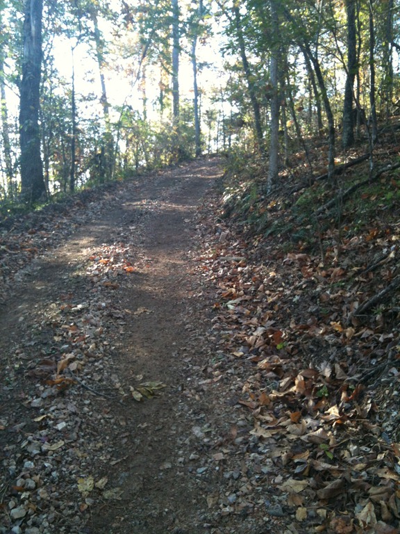 [IMG_1027%255B3%255D.jpg]