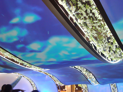 Electronic Waves with Orchids