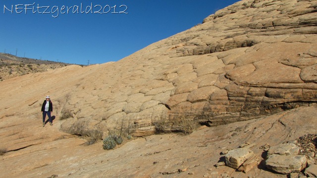 [IMG_0701PolygonsInNavajoSanstone%255B8%255D.jpg]