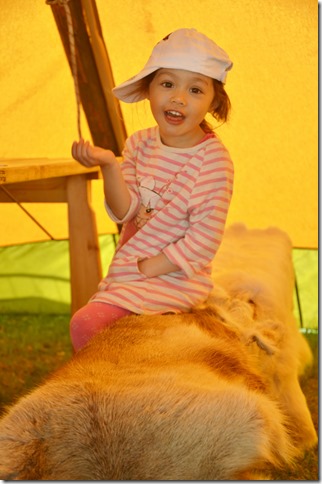DSC_6449 DSC_6449