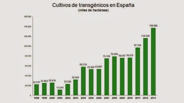 [transgenicos-en-Espana%255B5%255D.jpg]