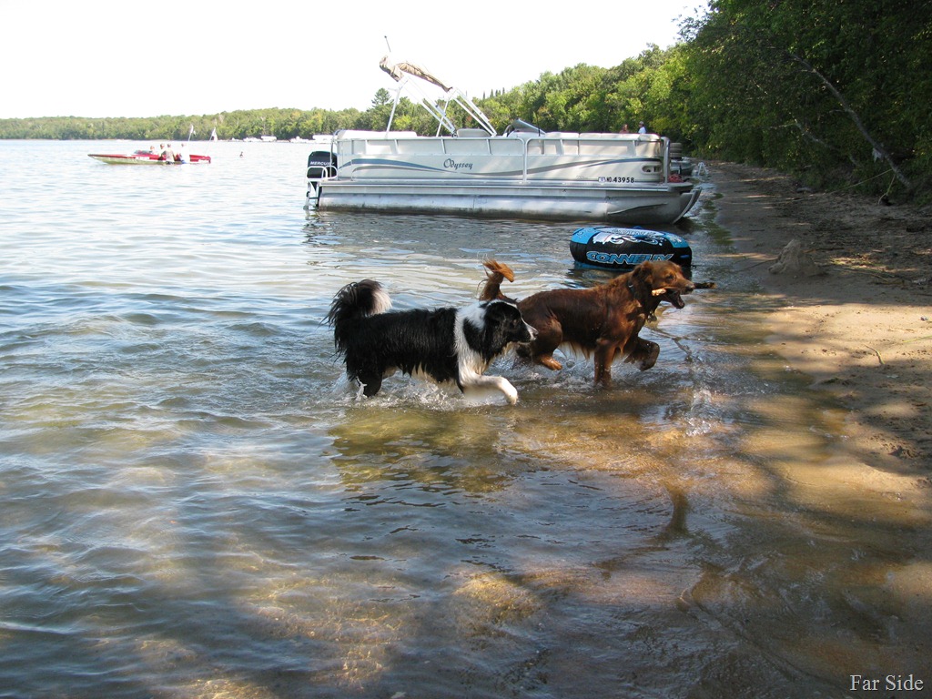 [Chance%2520and%2520Riley%2520at%2520Cass%2520Lake%2520sept%252011%255B9%255D.jpg]