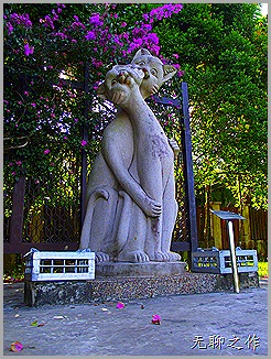 DSCF6608 DSCF6608