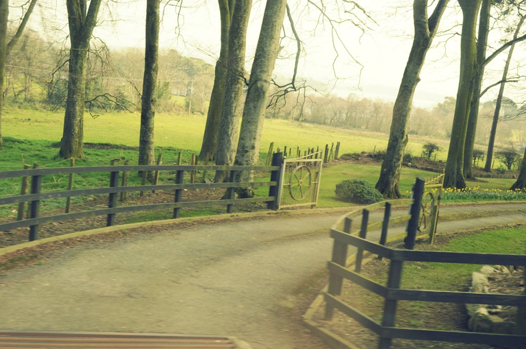 [glendalough065.jpg]