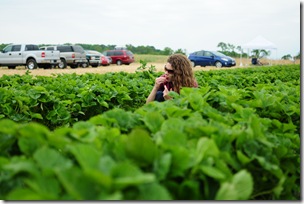 Strawberry Picking & Marcus band 085