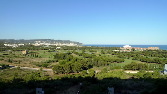 L1330137.JPG