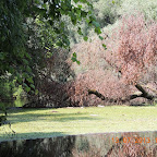 DSCN2983.JPG