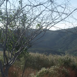 California to Virginia: Day 1 California to Virginia: Day 1