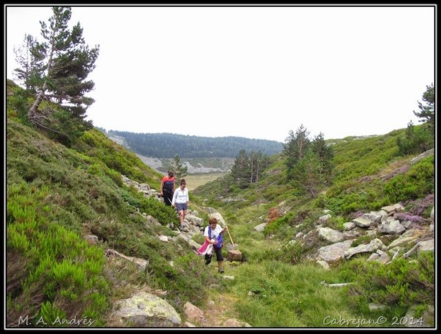 Vaca-soria 074 Vaca-soria 074