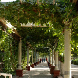 Turfan - Treillis de vigne allée
