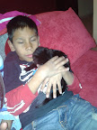 MIAU ADOPTADO ¡¡¡!!!
