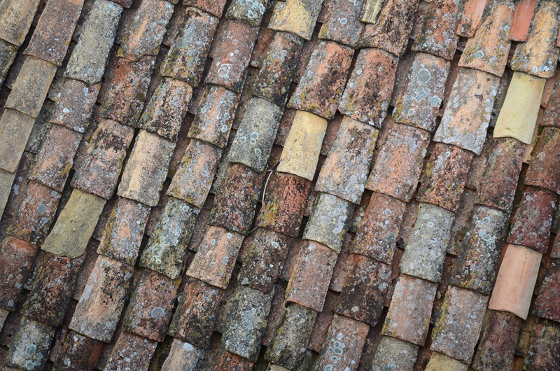 [Wall%2520walk20%255B3%255D.jpg]