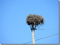 IMG_1105 IMG_1105