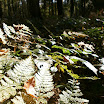 PA030010.JPG