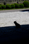 Francesca is so busy inside being a photo assistant and I'm feeling kind of cold sitting out here in the shade.