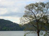DSC05371.JPG