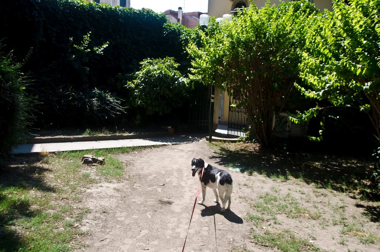 Abby in Venice