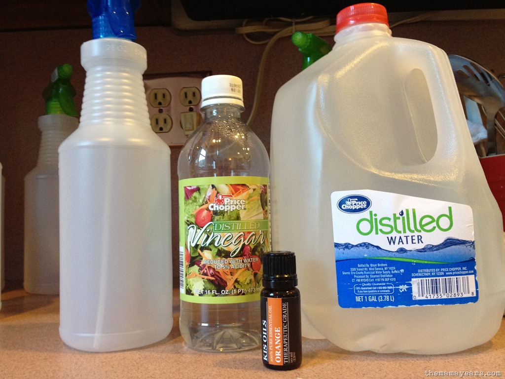 [homemade%2520cleaning%2520soln%25202%255B3%255D.jpg]