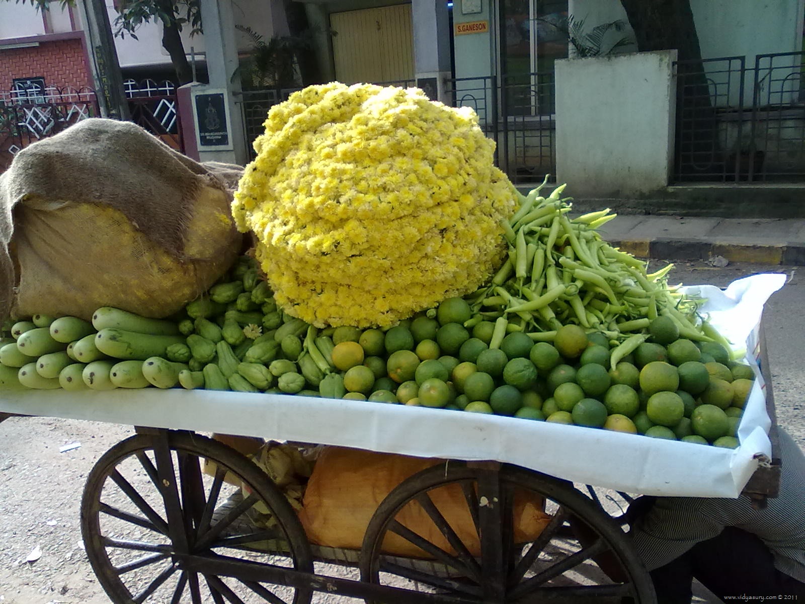 [VidyaSury-Flower24.jpg]