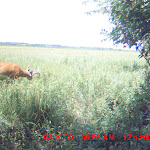 MDGC0208.JPG
