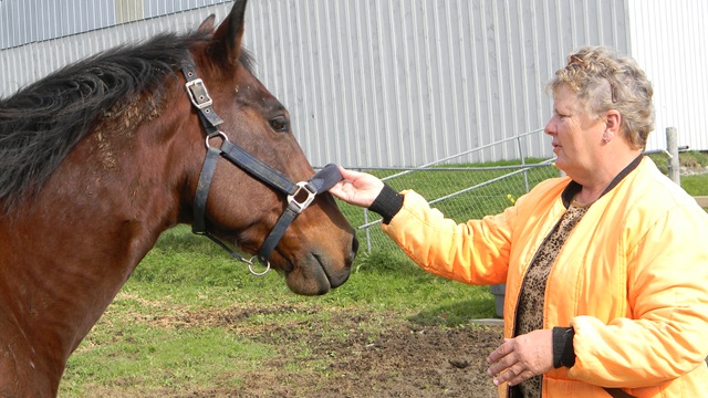 [Fall%2520at%2520Jean%2527s%2520with%2520horses.%2520065%255B3%255D.jpg]
