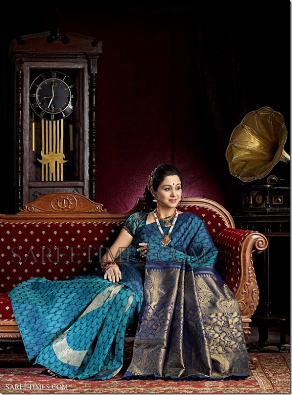 Devayani_Saree_Ad_Photoshoot (4)