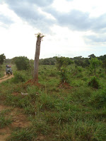 DSC05410.JPG