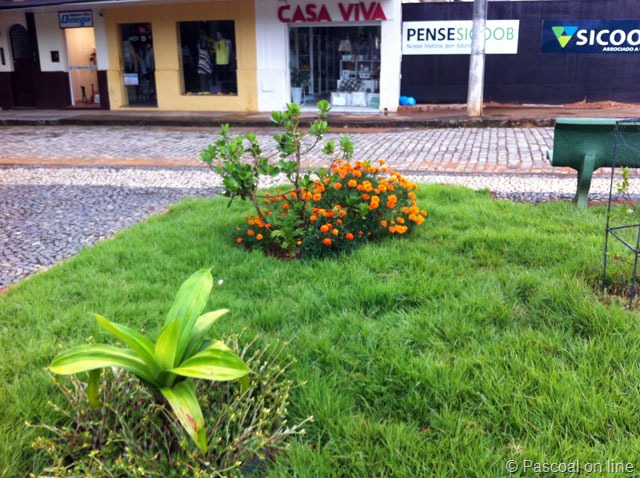 [jardim-003%255B2%255D.jpg]