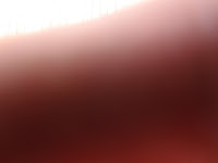 P8040330.JPG