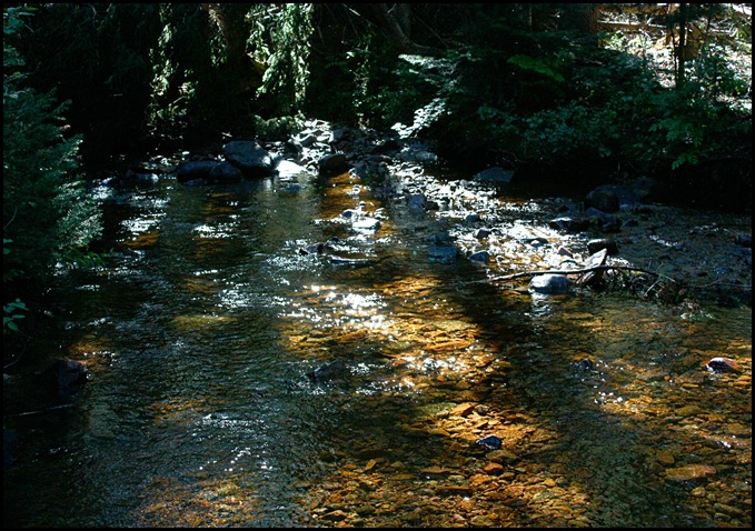 Bighorn Creek Trail 7-23-12 (68)