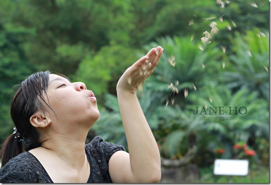 jane16 jane16