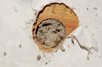 Stud Cavity Dense Packed with Cellulose