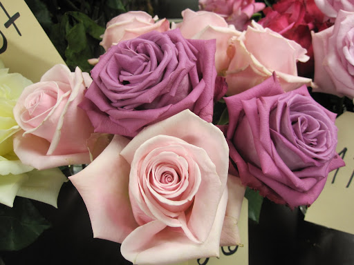 Again, roses that are not available yet. The price of the roses that are available range from 65 cents to $3 a stem.