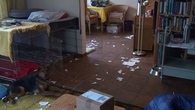 [schnipsel5%255B4%255D.jpg]