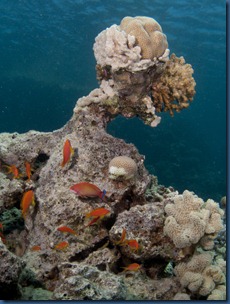 IMG_0175 IMG_0175