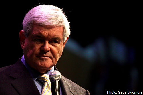 [newtgingrich6.png]