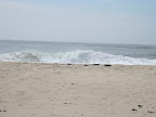Scenery shot #2.